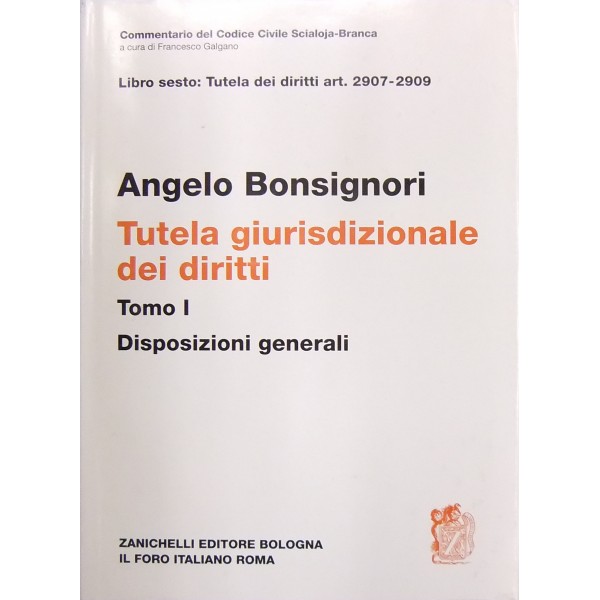 Della Tutela Giurisdizionale Dei Diritti Tomo I Disposizioni