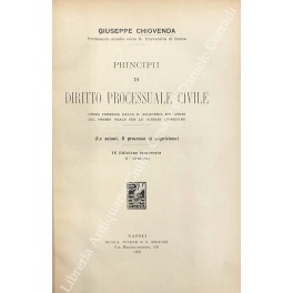 Principii di diritto processuale civile