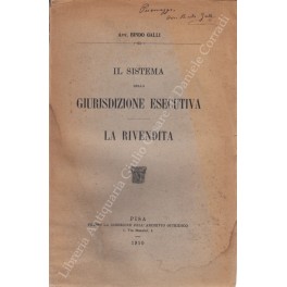 Il sistema della giurisdizione esecutiva