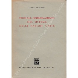 Studi sul coordinamento nel sistema delle Nazioni Unite