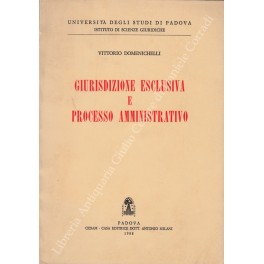 Giurisdizione esclusiva e processo amministrativo