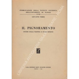 Il pignoramento. Studio sulla natura e sugli effet