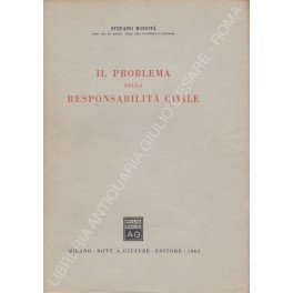 Il problema della responsabilità civile