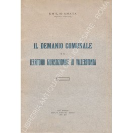 Il demanio comunale