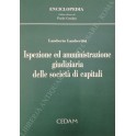 Ispezione ed amministrazione giudiziaria 