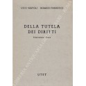 Della tutela dei diritti. Trascrizione - Prove