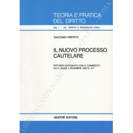 Il nuovo processo cautelare