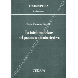 La tutela cautelare nel processo amministrativo