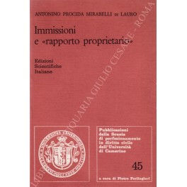 Immissioni e rapporto proprietario