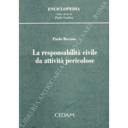 La responsabilità civile da attività pericolose