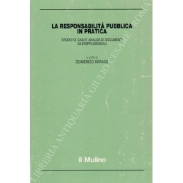 La responsabilità pubblica in pratica