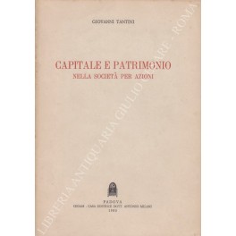 Capitale e patrimonio 