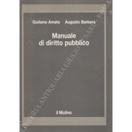 Manuale di diritto pubblico