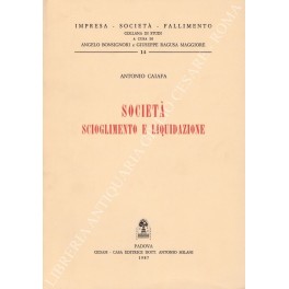 Società scioglimento e liquidazione