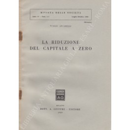 La riduzione del capitale a zero