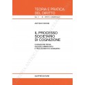 Il processo societario di cognizione