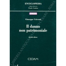 Il danno non patrimoniale