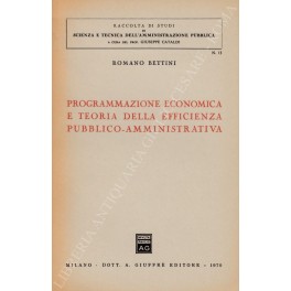 Programmazione economica e teoria della efficienza