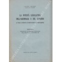 La potestà legislativa dell'assemblea e del governo