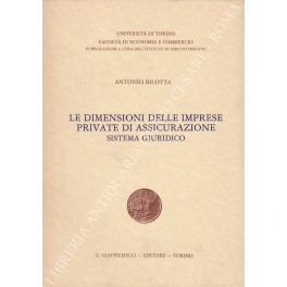 Le dimensioni delle imprese private di assicurazione