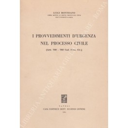 I provvedimenti d'urgenza nel processo civile