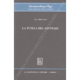 La tutela del software