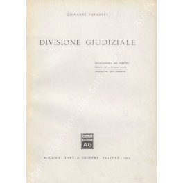 Divisione giudiziale