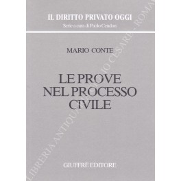 Le prove nel processo civile