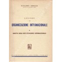 Lezioni di organizzazione internazionale. Vol. I -