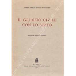 Il giudizio civile con lo Stato