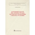 L'interpretazione del giudice penale tra regole 