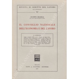 Il Consiglio Nazionale dell'Economia e del Lavoro