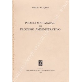 Profili sostanziali del processo amministrativo