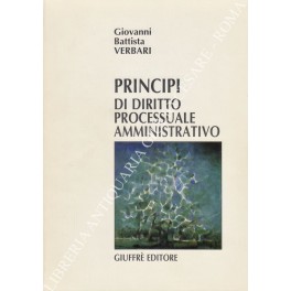 Principi di diritto processuale amministrativo