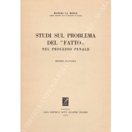 Studi sul problema del fatto nel processo penale