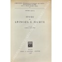 Studi su Spinoza e Fichte