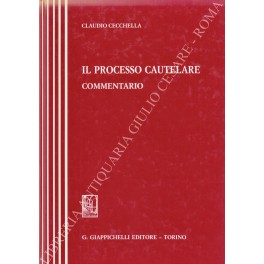 Il processo cautelare