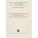 L'organizzazione societaria nella discipina dell'attività