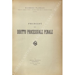 Principi di diritto processuale penale