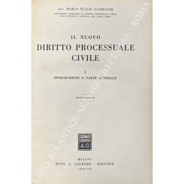 Il nuovo diritto processuale civile