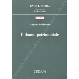 Il danno patrimoniale