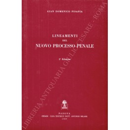 Lineamenti del nuovo processo penale