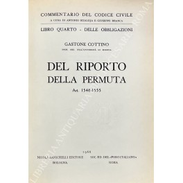 Del riporto della permuta