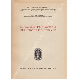 Le cautele patrimoniali nel processo penale