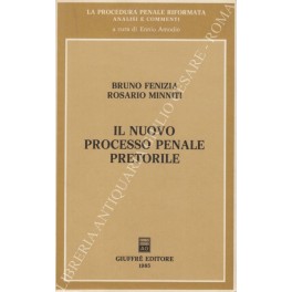 Il nuovo processo penale pretorile