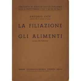 La filiazione. Gli alimenti 