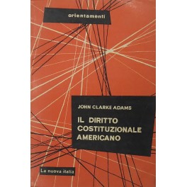 Il diritto costituzionale americano. Linee essenziali