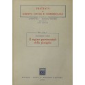 Il regime patrimoniale della famiglia. Vol. I - I