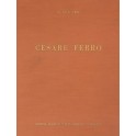 Cesare Ferro. Con 58 illustrazioni nel testo e 74