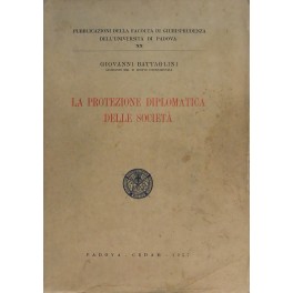 La protezione diplomatica delle società